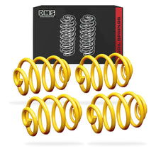 Ford Falcon BA / BF (2002 - 2007) Lowered Front / Rear King Coil Springs LH + RH