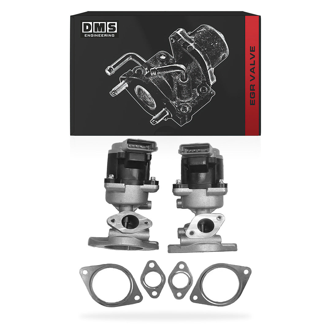 Land Rover Range Rover Sport L320 (2005 - 2013) 2.7L EGR Valve + Gasket