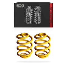 Toyota Echo NCP (1999 - 2005) Lowered Rear King Coil Springs LH + RH
