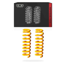 Toyota Surf N180 (1996 - 2002) Standard Rear King Coil Springs LH + RH